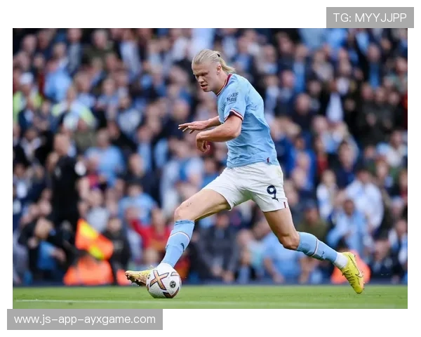 哈兰德终结效率持续稳定